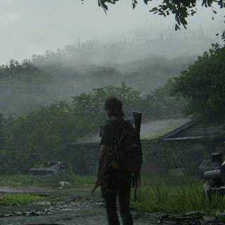 The Last of Us aesthetic wallpaper