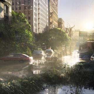 The Last of Us aesthetic wallpaper