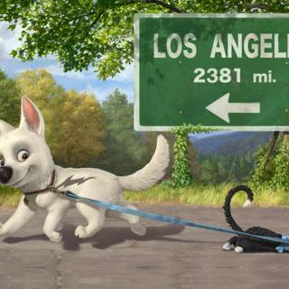 Disney dogs wallpaper