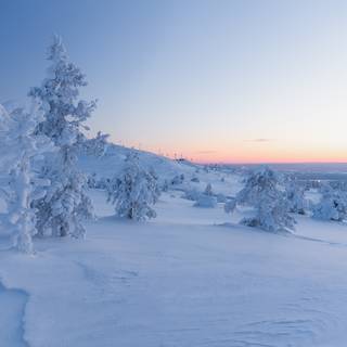 Winter 8k wallpaper