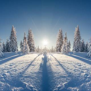 Winter 8k wallpaper