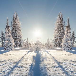 Winter 8k wallpaper