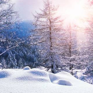Winter 8k wallpaper