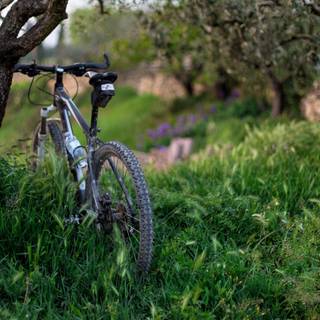 4k bicycle wallpaper