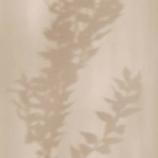 Beige brown wallpaper