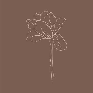 Brown aesthetic 4k wallpaper