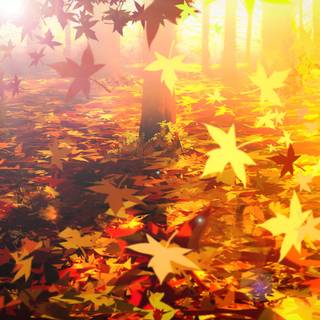 4k autumn art wallpaper
