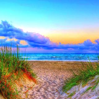 Summer art desktop wallpaper