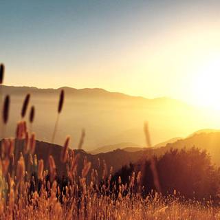 Summer sunset 4k wallpaper