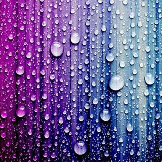 Summer bubbles wallpaper