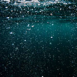Summer bubbles wallpaper