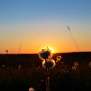 Summer sunset 4k wallpaper
