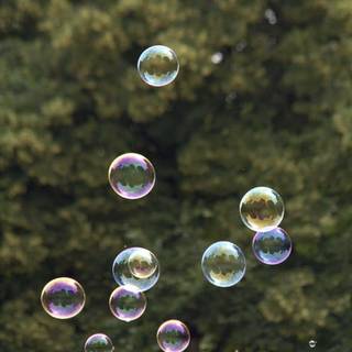 Summer bubbles wallpaper