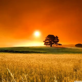 1280x1024 summer wallpaper