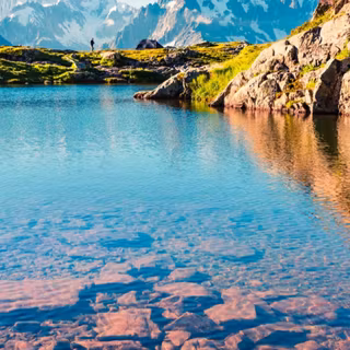 iPhone summer nature wallpaper