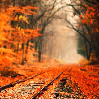 4k autumn art wallpaper