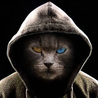 Cat gaming wallpaper