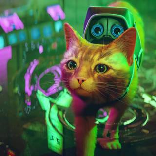 Cat gaming wallpaper