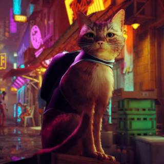 Cat gaming wallpaper