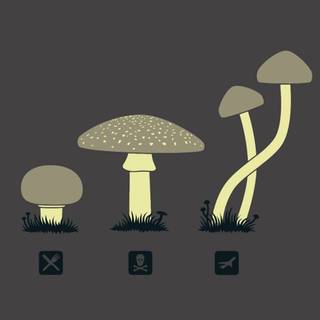 Desktop mushrooms wallpaper