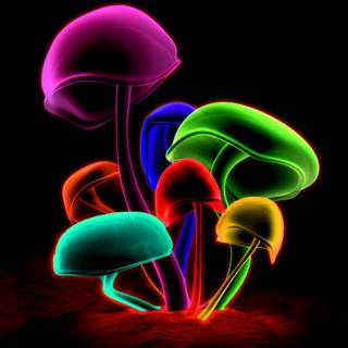 Desktop mushrooms wallpaper
