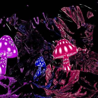 Desktop mushrooms wallpaper