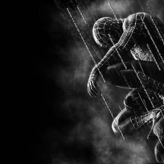 Black and white Spider-Man wallpaper