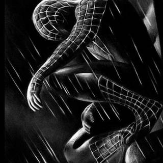 Black and white Spider-Man wallpaper