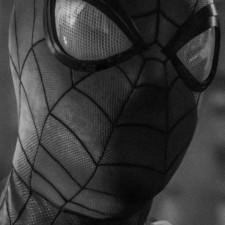 Black and white Spider-Man wallpaper