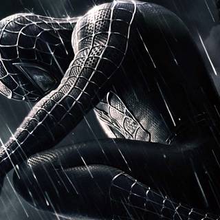 Black and white Spider-Man wallpaper