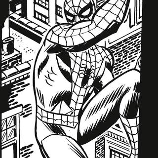 Black and white Spider-Man wallpaper
