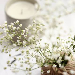 Clean girl aesthetic wallpaper