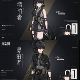 Wuthering Waves wallpaper