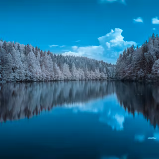 Blue forest 4k wallpaper