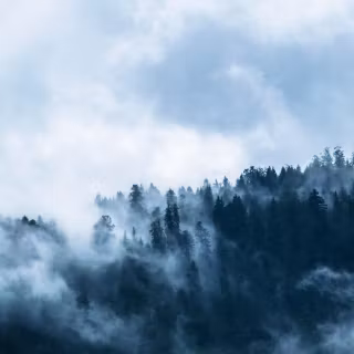 Blue forest 4k wallpaper