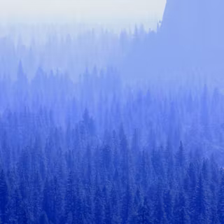 Blue forest 4k wallpaper