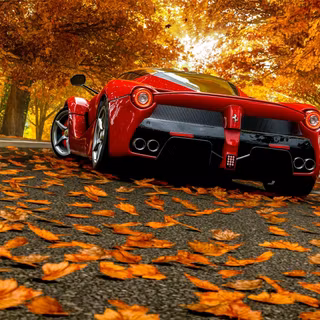 Autumn cars desktop wallpaper