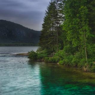 iPhone 11 HD nature 4k wallpaper