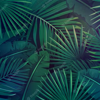 Summer tropical leaves wallpaper