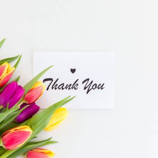 Thank you 4k wallpaper