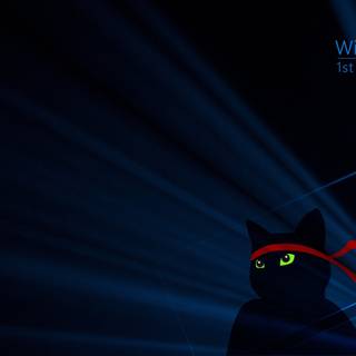 Windows black 4k wallpaper