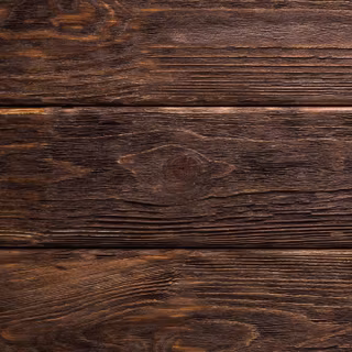 Woods phone wallpaper