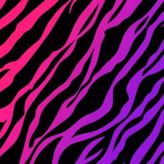 Zebra 4k wallpaper
