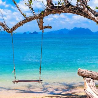 Summer swing wallpaper