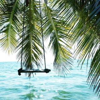 Summer swing wallpaper