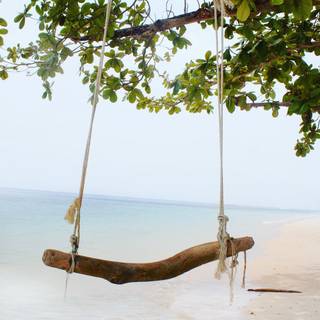 Summer swing wallpaper