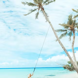 Summer swing wallpaper