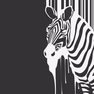 Zebra 4k wallpaper