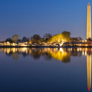 Washington DC 4k wallpaper