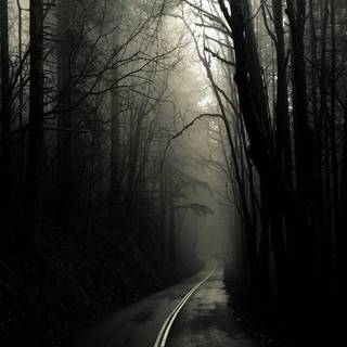 Gothic forest desktop wallpaper